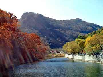 新澳天天开奖资料大全旅游团，丰都seo排名